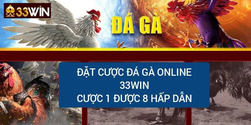 dat-cuoc-da-ga-online-33win-1-an-8-hap-dan