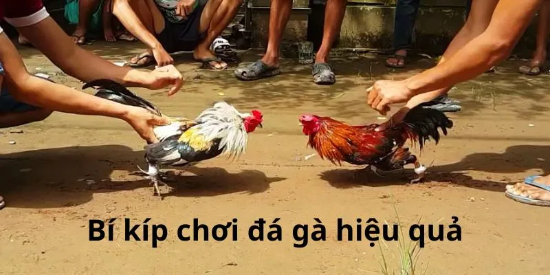 bi-kip-da-ga-hieu-qua