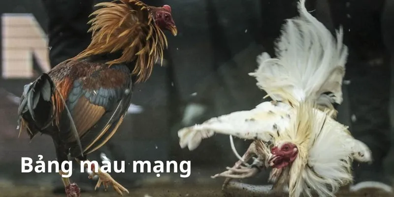 chien-ke-da-ngay-nao-tot-theo-menh