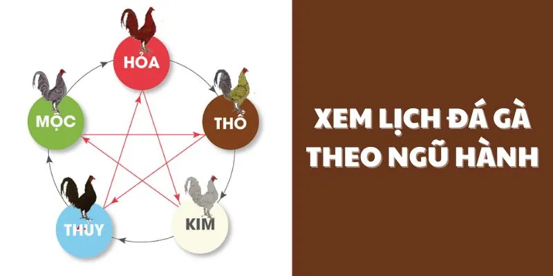 coi-ngay-da-ga-theo-ngu-hanh