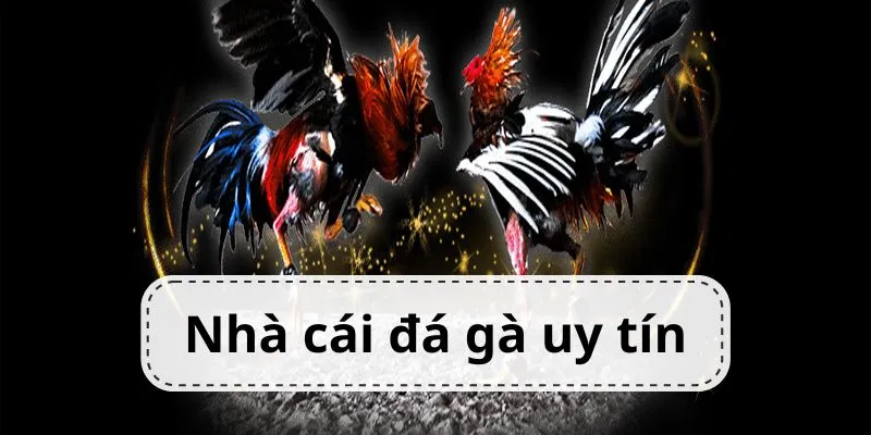 gioi-thieu-cac-nha-cai-da-ga-uy-tin