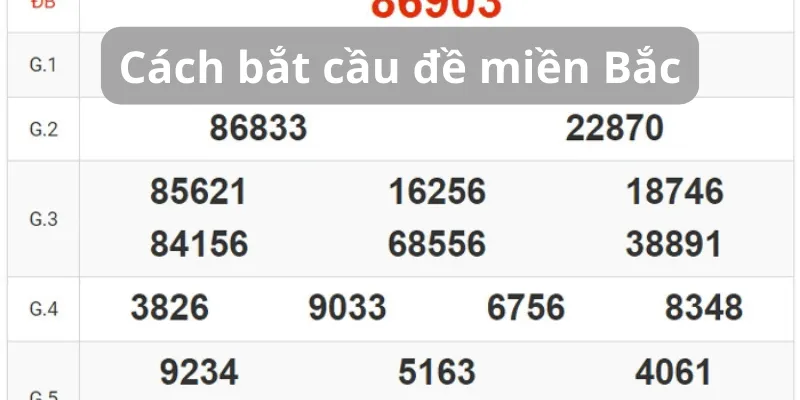 gioi-thieu-cach-bat-cau-de-mien-bac