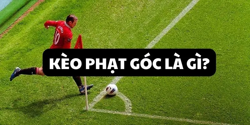 keo-phat-goc-la-gi