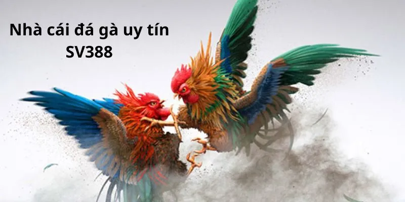 nha-cai-da-ga-uy-tin-sv388