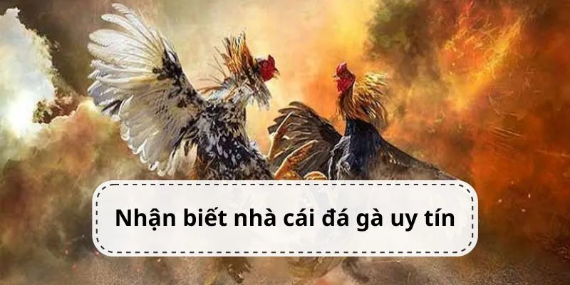 nhan-biet-nha-cai-da-ga-uy-tin