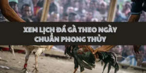 xem-lich-da-ga-theo-ngay-chuan-phong-thuy
