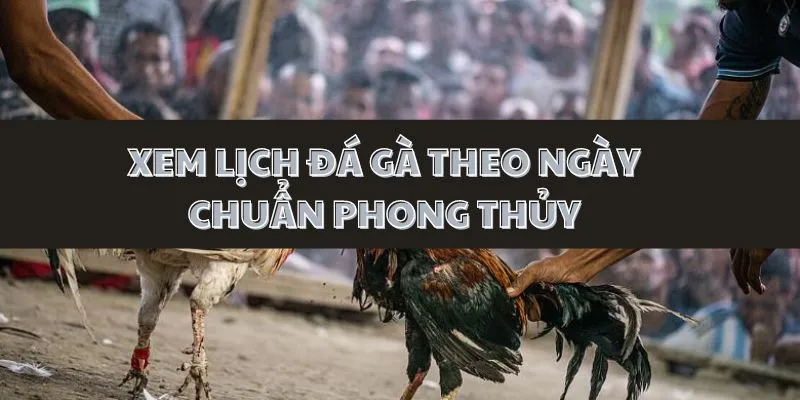 xem-lich-da-ga-theo-ngay-chuan-phong-thuy